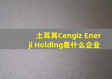 土耳其Cengiz Enerji Holding是什么企业